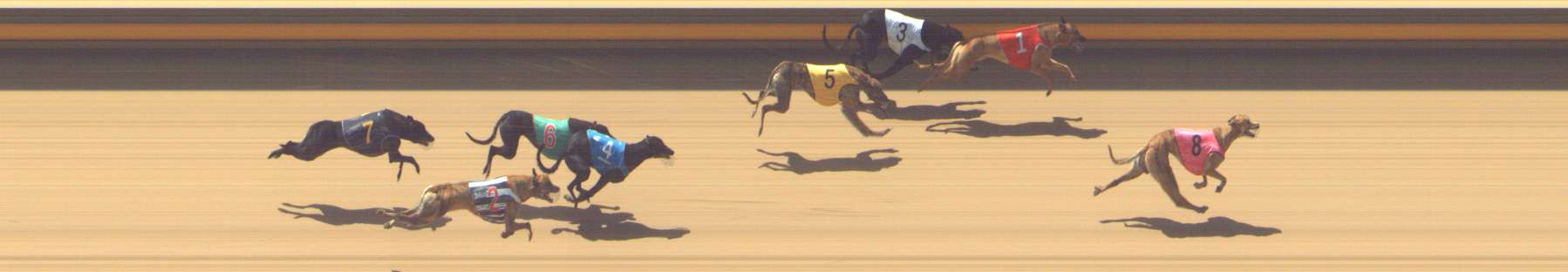 Race result finish photo